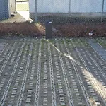アパート Aalborg Limfjorden Udsigt *
