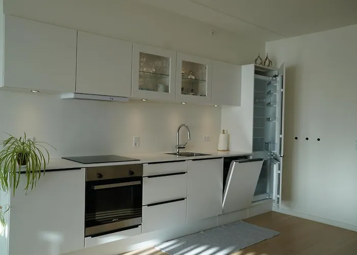 Διαμέρισμα Aalborg Limfjorden Udsigt