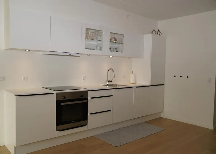 Aalborg Limfjorden Udsigt Διαμέρισμα
